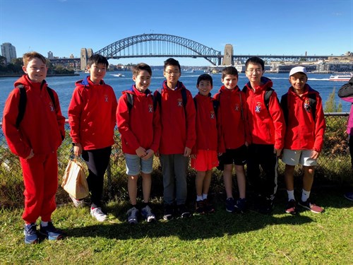 Extension Studies Pic 3